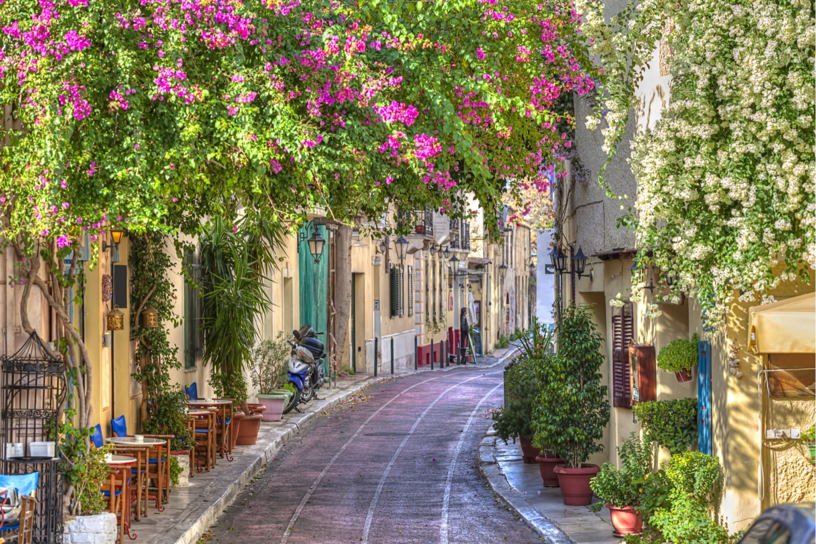 A quiet Plaka alley under pink bougainvillea